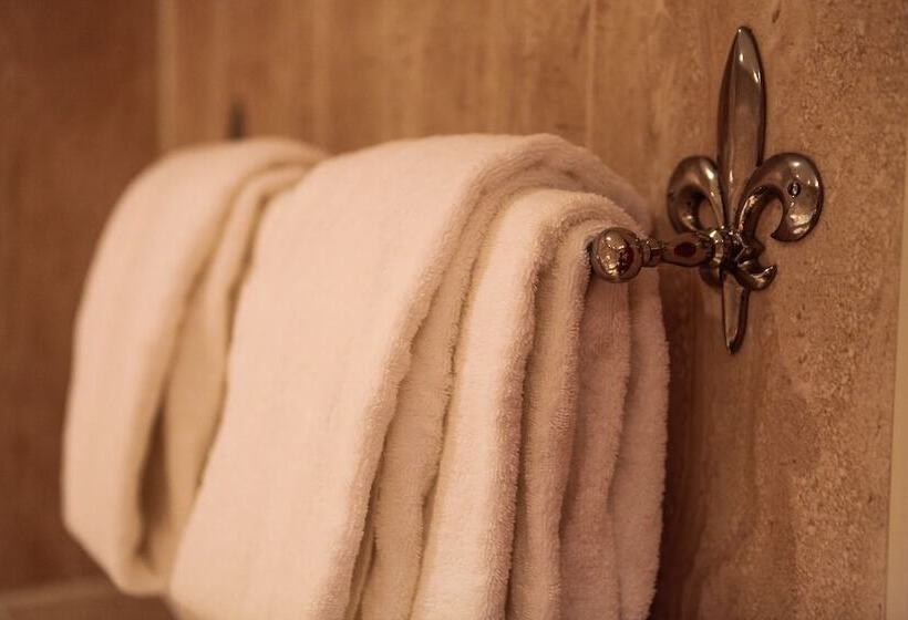 舒适型房间, Amicitia