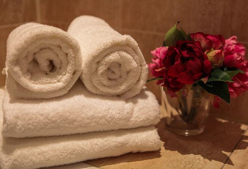 舒适型房间, Amicitia