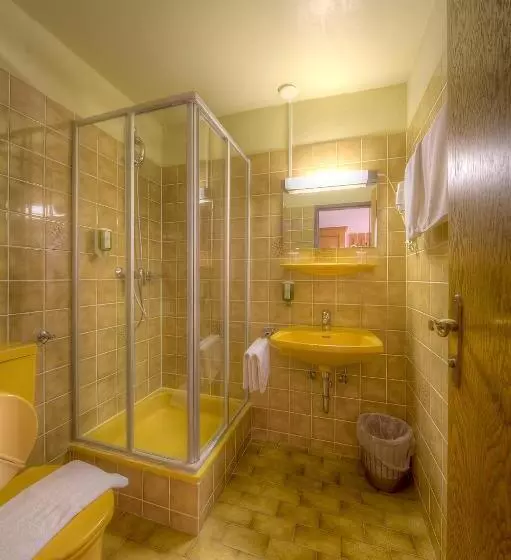 屋根裏部屋風スタンダードルーム, Burgenländerhof Hotel Garni