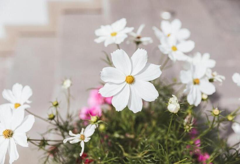 غرفة قياسية فردية, Gasthof Wälderhof