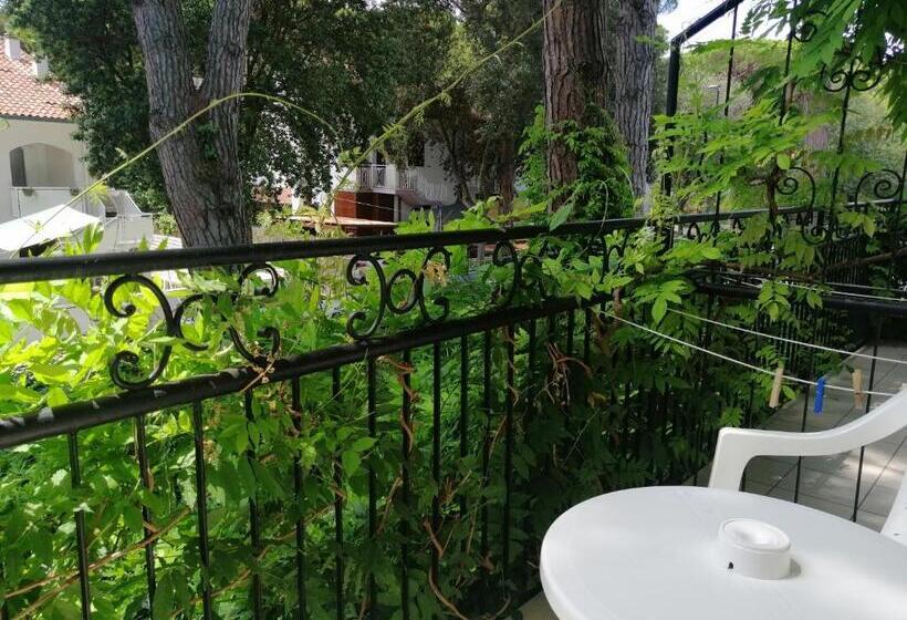 جناح جونيور مزوَّد بشرفة, La Tavernetta