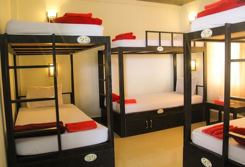 تختخواب در اتاق مشترک, Tropical Breeze