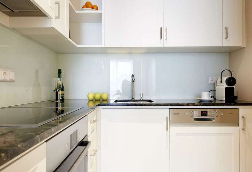 1 Bedroom Penthouse Apartment, Singerstrasse 21 25 Aparthotel 350m Next To St Stephen S Square