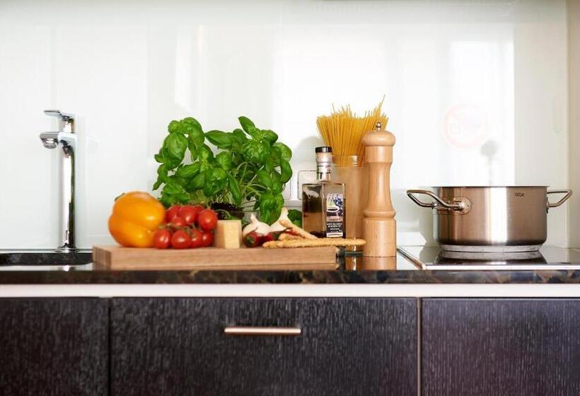 آپارتمان اجرایی 1 خوابه, Singerstrasse 21 25 Aparthotel 350m Next To St Stephen S Square