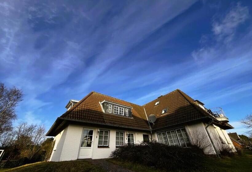 스탠다드 싱글 룸, Anka