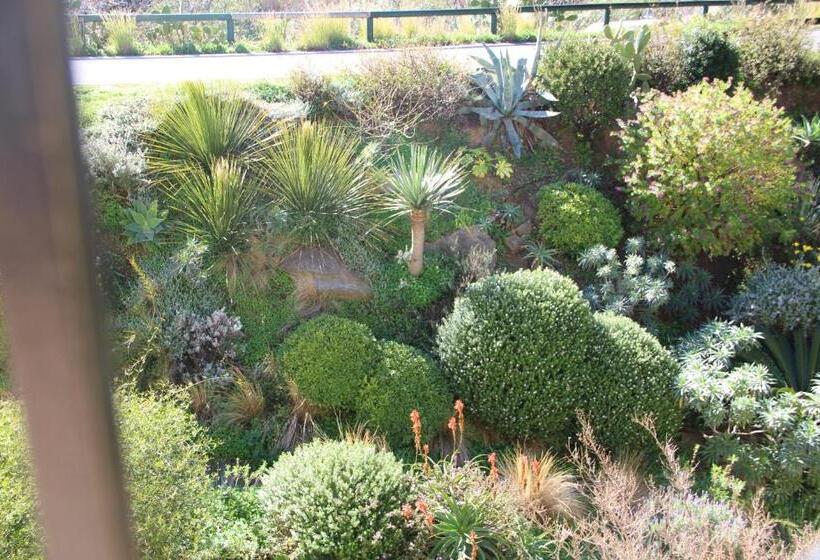 スーペリアールーム, De La Fossette