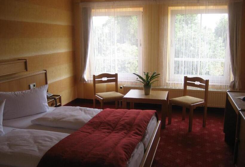 スタンダードルーム, Eleganz