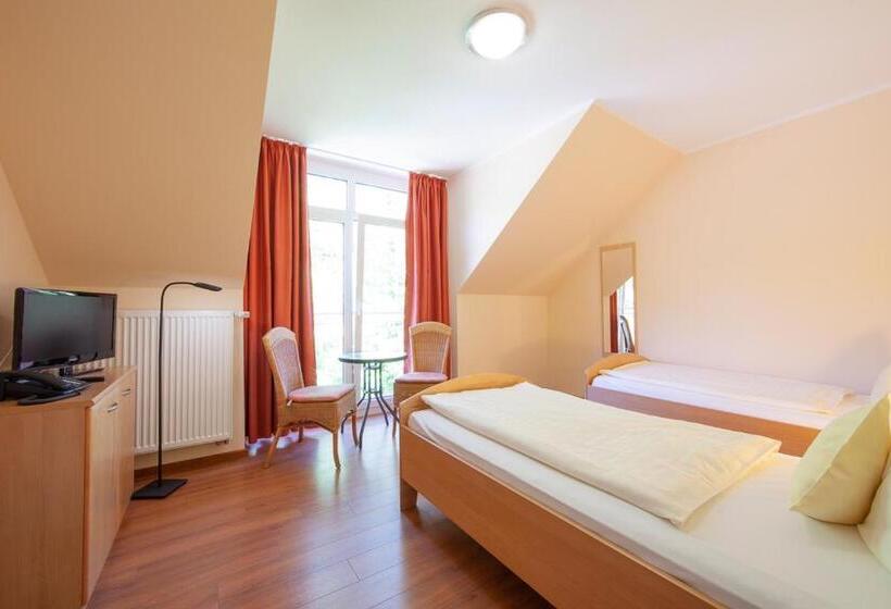 Номер Стандарт, Heidsmuhle