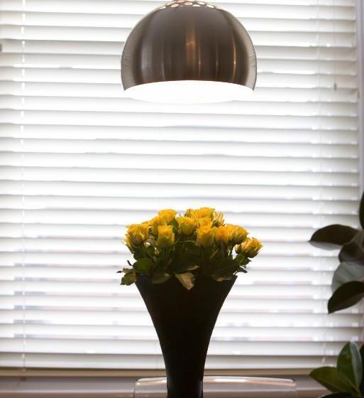 Апартаменты 1 Спальня, Victoria Park Lodge