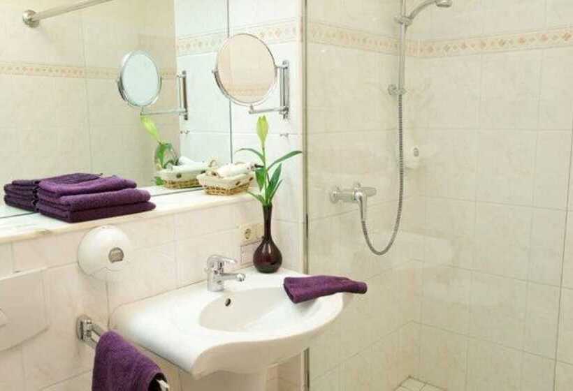 스탠다드 룸, Parkhotel Rosarium