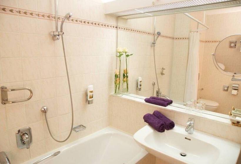 스탠다드 룸 공원 전망, Parkhotel Rosarium