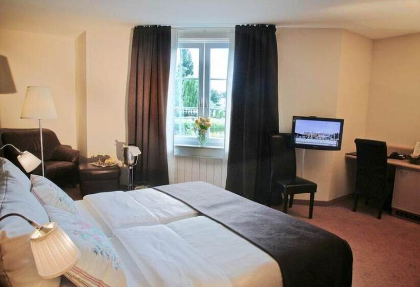 스탠다드 룸 공원 전망, Parkhotel Rosarium