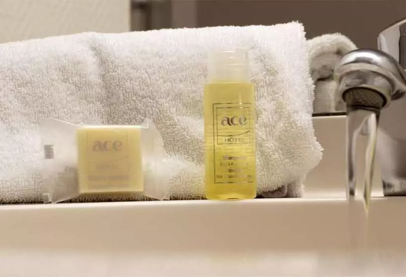 身障者適用スタンダードルーム, Ace Hotel Bourges