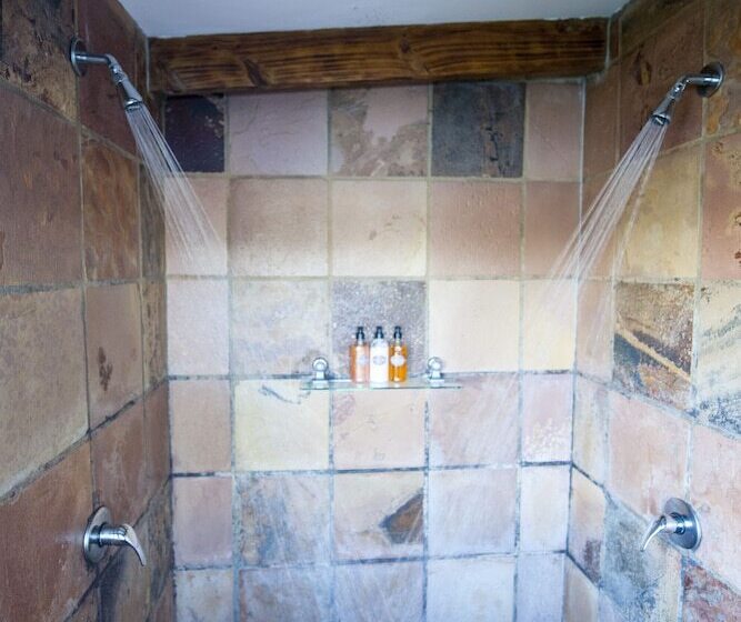 سوییت, Elephant Hide Of Knysna Guest Lodge