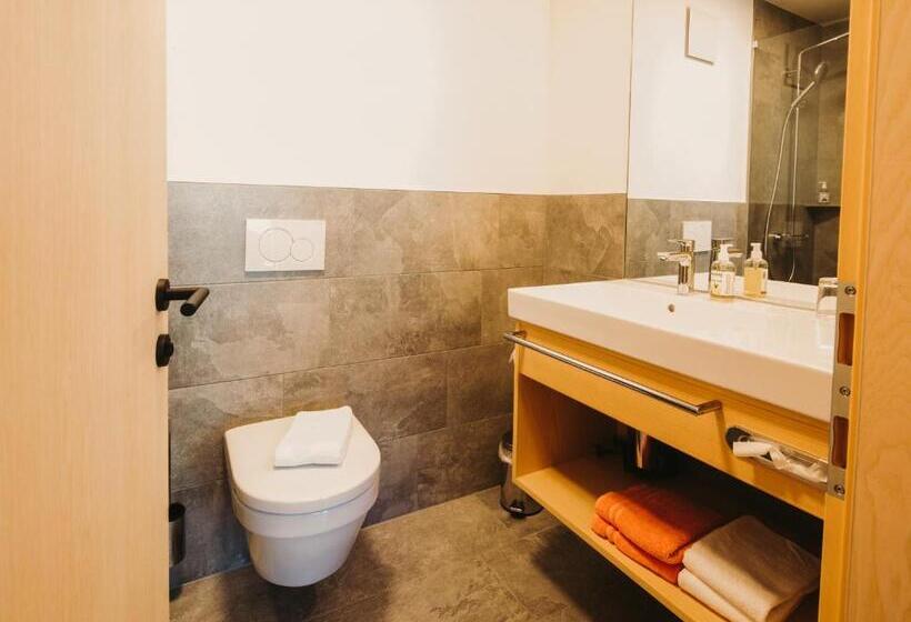 استودیو استاندارد با چشم‌انداز, Alpin   Studios & Suites