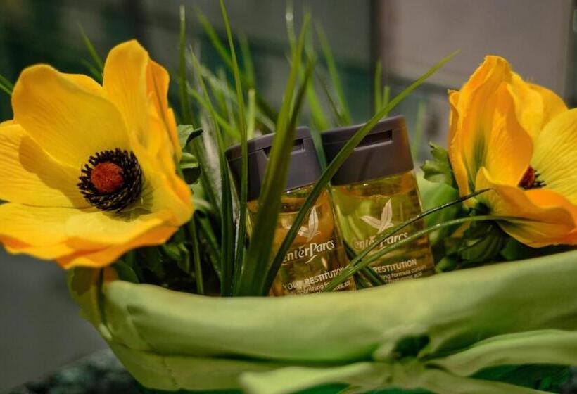 スタンダードルーム, Atlant