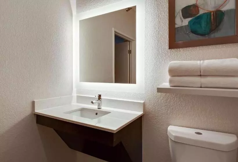 اتاق استاندارد با تخت بزرگ, Best Western Worlds Of Fun