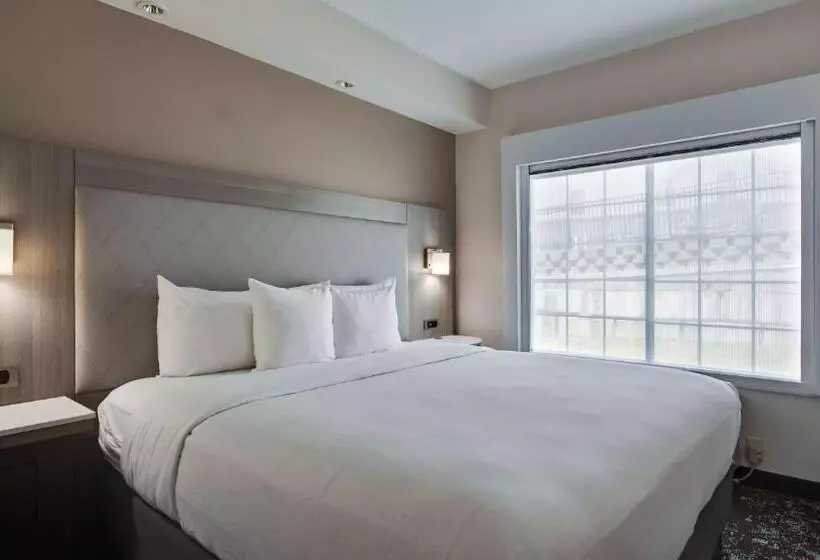 اتاق استاندارد با تخت بزرگ, Best Western Worlds Of Fun
