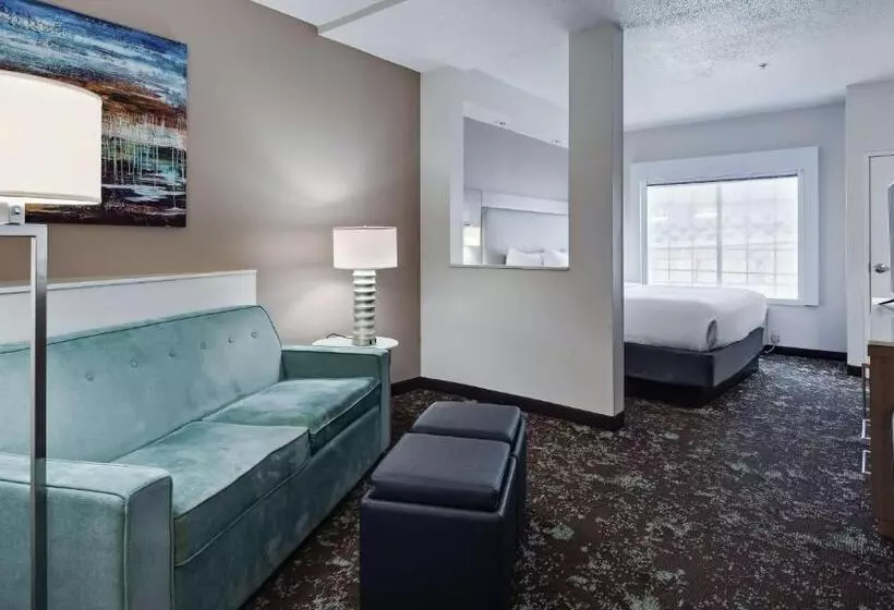 سوئیت با تخت بزرگ, Best Western Worlds Of Fun