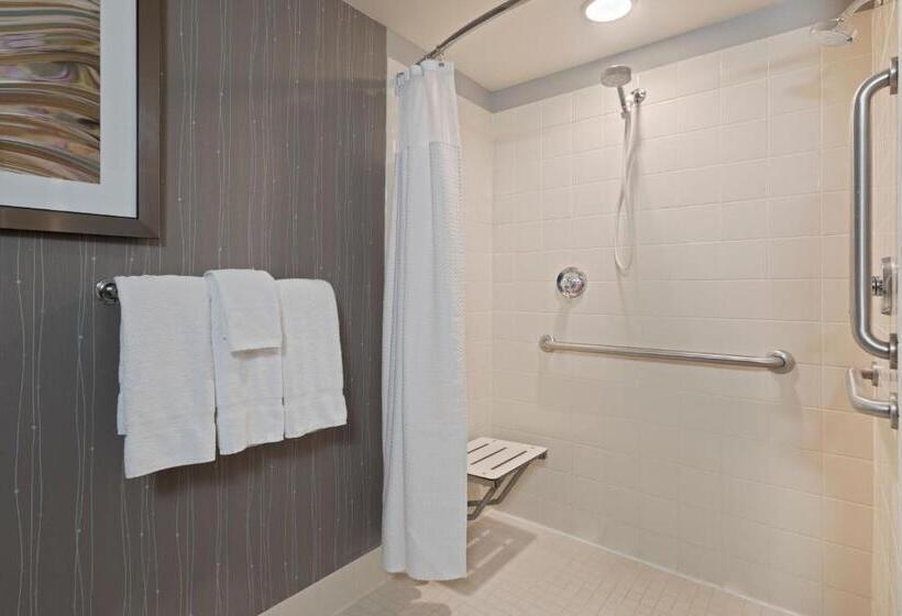 Стандартный Номер Кровать Кинг, Courtyard By Marriott St. Petersburg Downtown