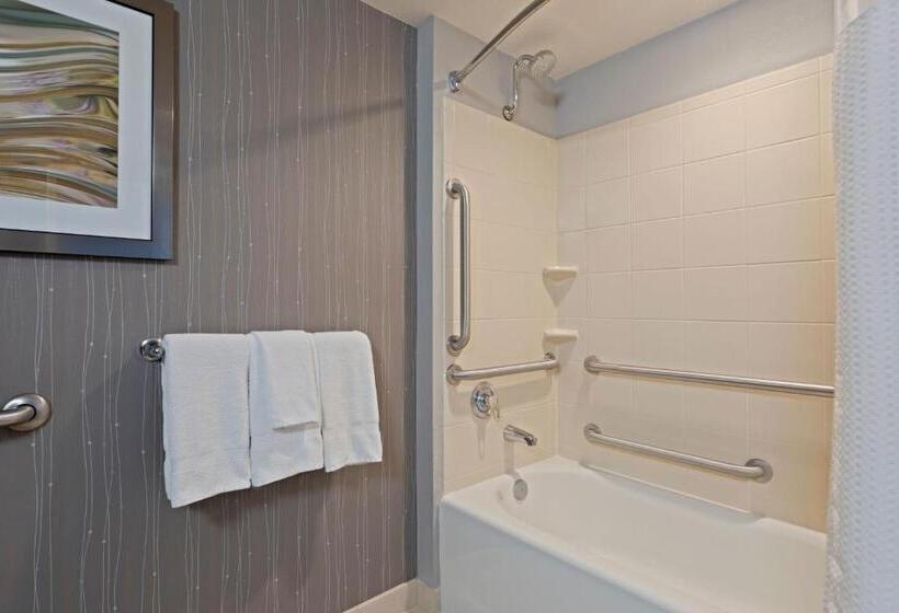 스탠다드 룸 킹사이즈 침대, Courtyard By Marriott St. Petersburg Downtown