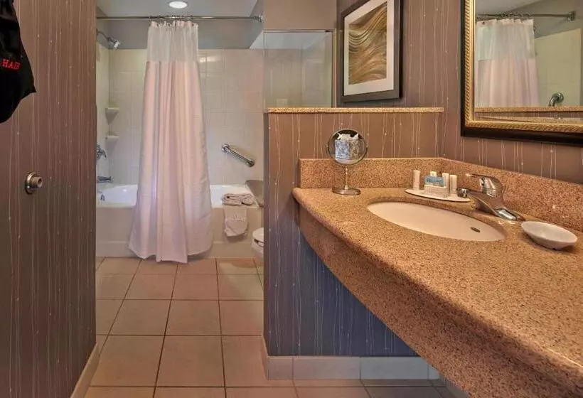 キングサイズベッドのスタンダードルーム, Courtyard By Marriott St. Petersburg Downtown