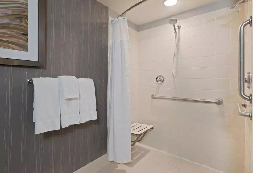スタンダードルーム, Courtyard By Marriott St. Petersburg Downtown