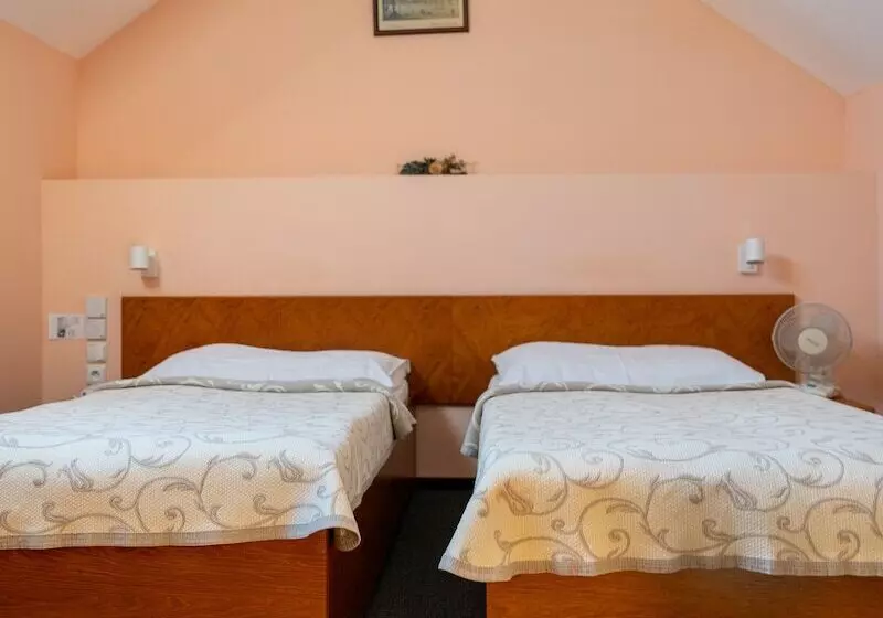 اتاق اکونومی, čertousy