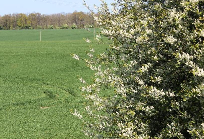 컴포트 룸, Gutshaus Kubbelkow