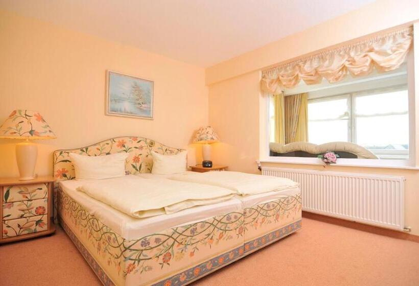 海の見えるコンフォートルーム, Hansa