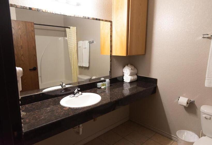 带大床的豪华间, Premium Inn And Suites
