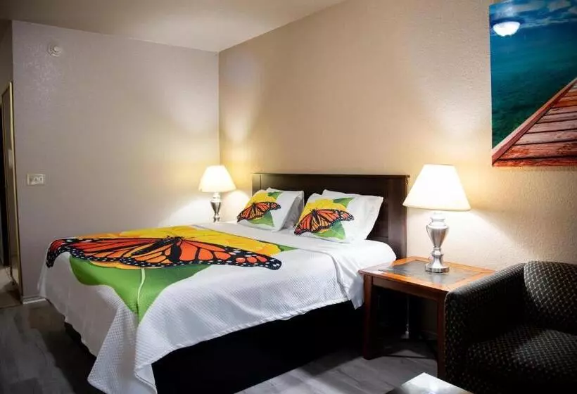 اتاق لوکس با تخت بزرگ, Premium Inn And Suites