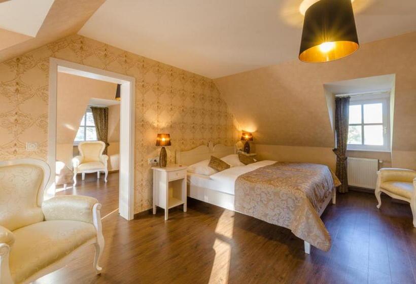 스탠다드 싱글 룸, Seeschloss Schorssow