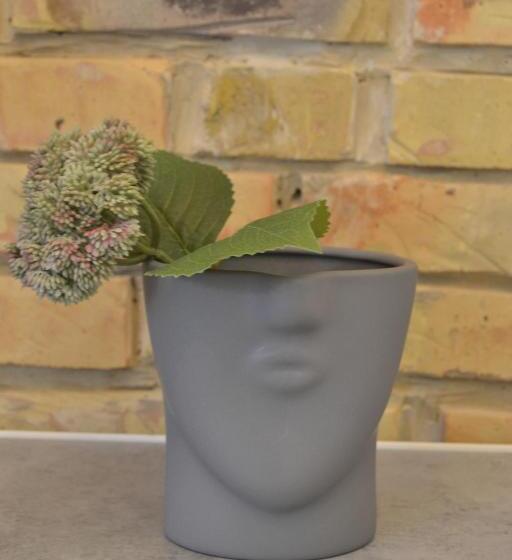 Comfort-huone, Stangret