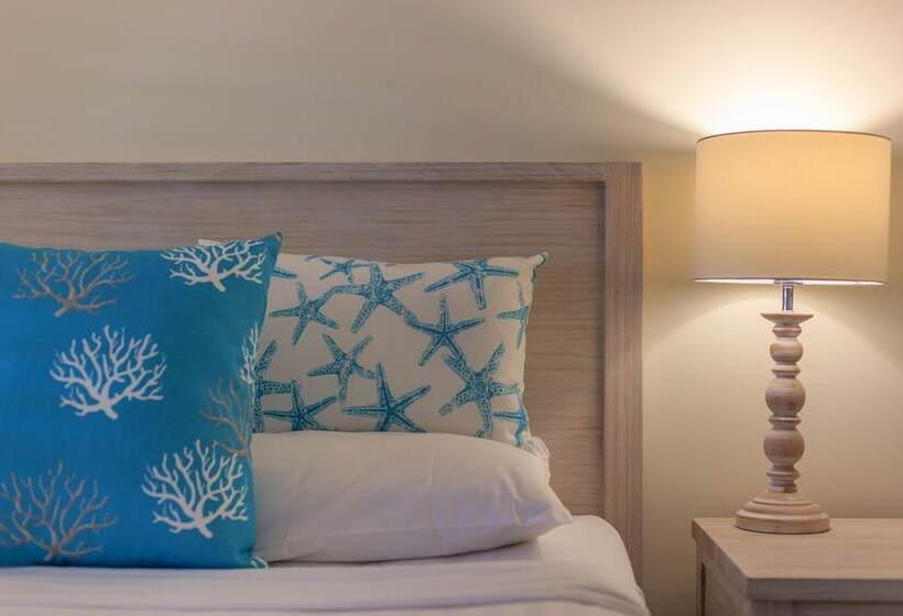 １ベッドルームアパートメント, Macrossan House