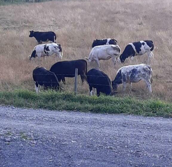غرفة قياسية, Les Chambres De La Fontaine De Brul
