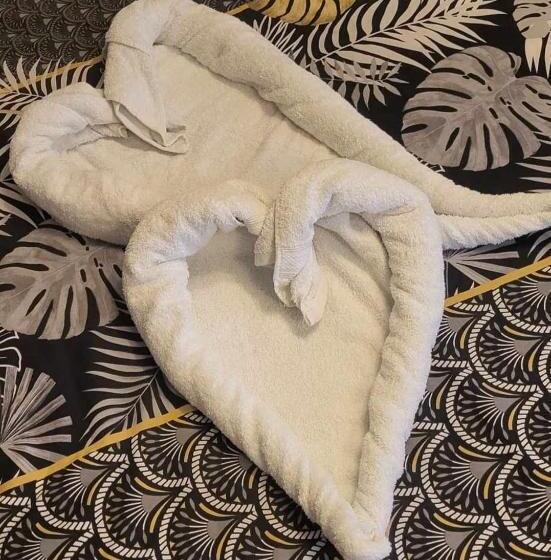 غرفة سوبيريور, Les Chambres De La Fontaine De Brul