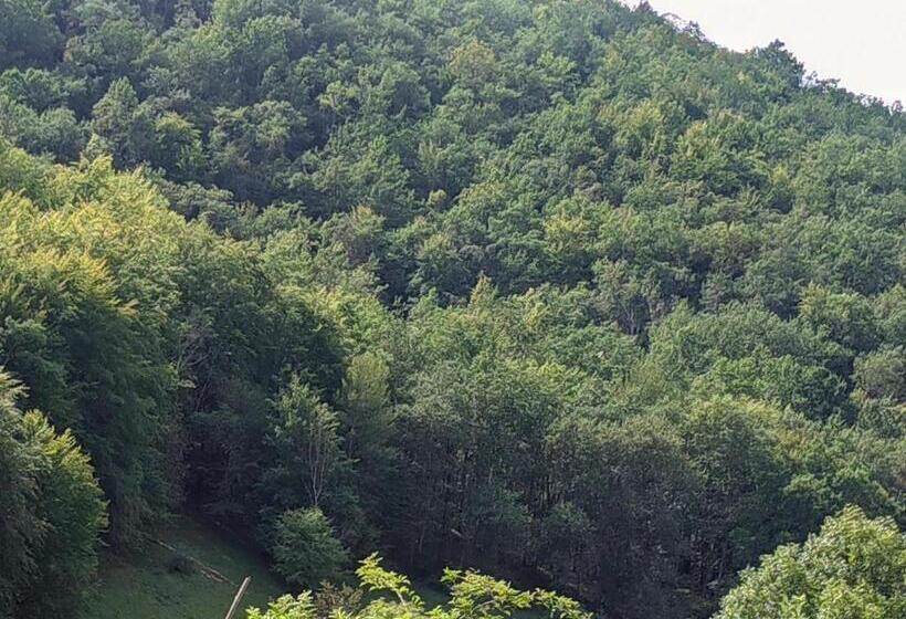 발코니가 있는 스위트, Source Nature