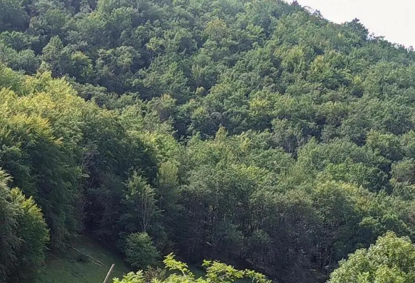Suite cu balcon, Source Nature