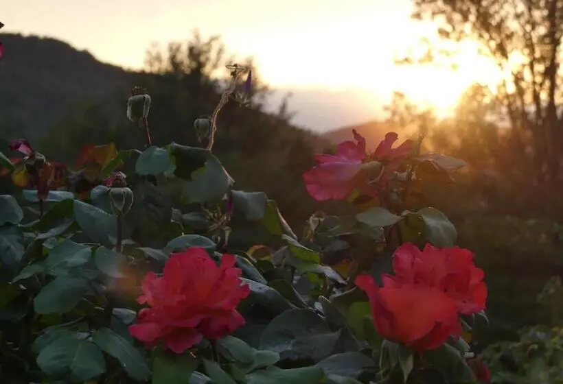 Suite cu balcon, Source Nature