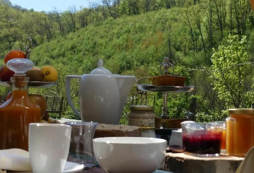 Cameră Standard Pat King Size, Source Nature