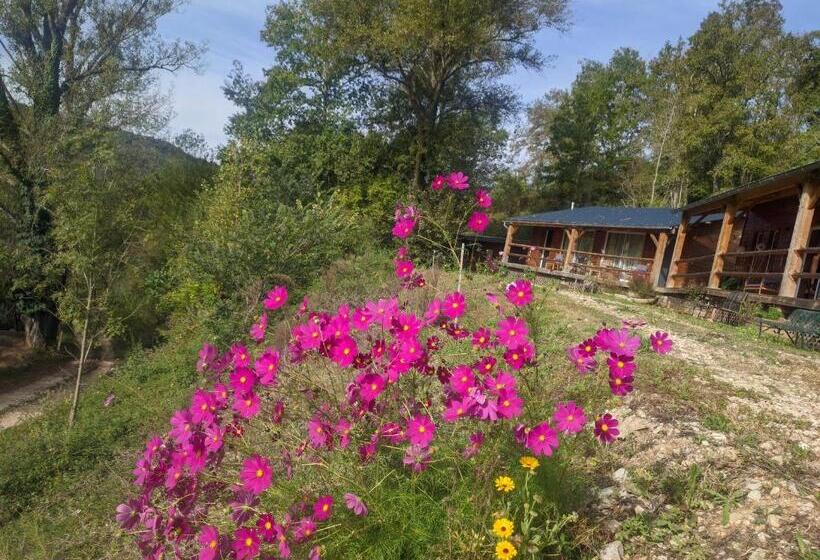 스탠다드 룸 산 전망, Source Nature