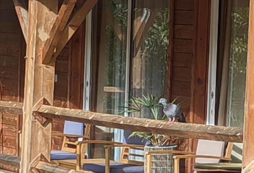 스탠다드 룸 산 전망, Source Nature