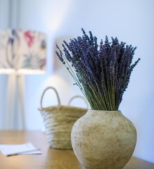 اتاق استاندارد, Campo Do Rosmaninho