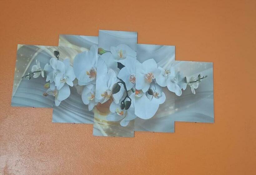 Номер Стандарт Индивидуальный, 3 Irmaos