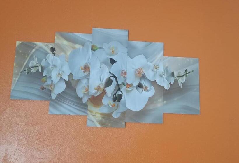 Номер Стандарт, 3 Irmaos