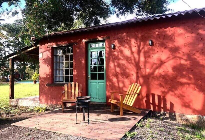 Номер Deluxe Кровать Кинг, Pousada Charqueada Costa Do Abolengo