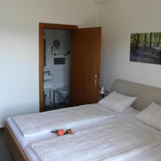 Номер Стандарт, Haus Franz