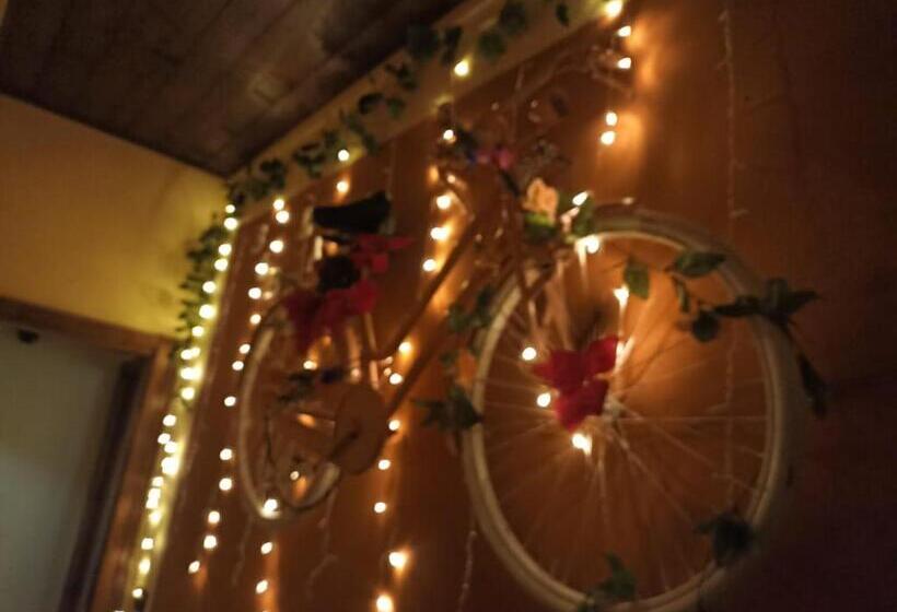 اتاق استاندارد سه نفره, La Bicicletta Rifiorita