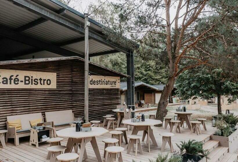 Номер Стандарт с Террасой, Destinature Dorf Südeifel